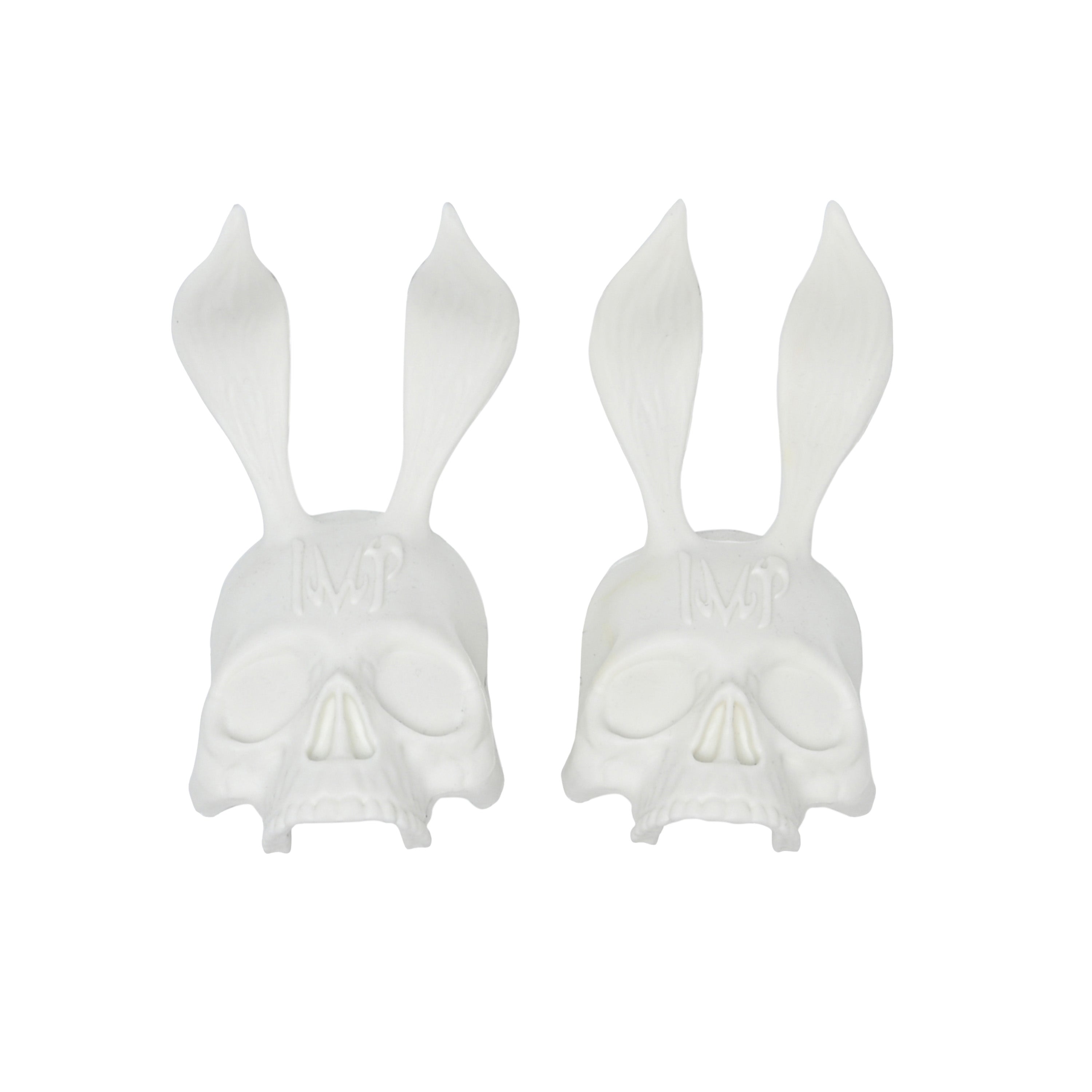 Dentelle de crâne de lapin