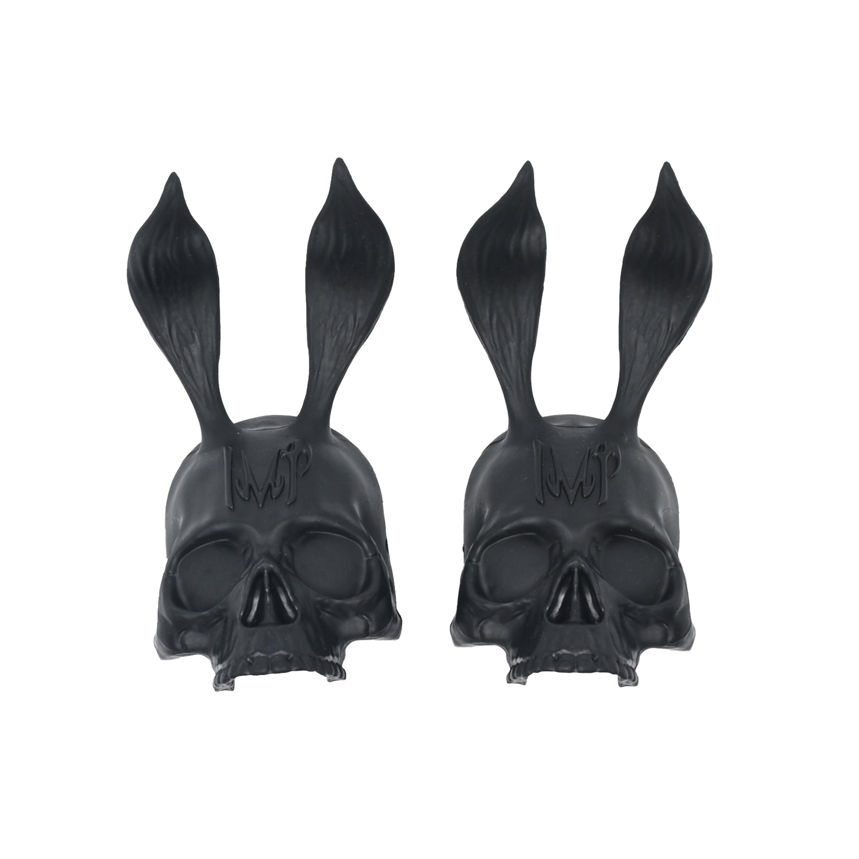 Dentelle de crâne de lapin